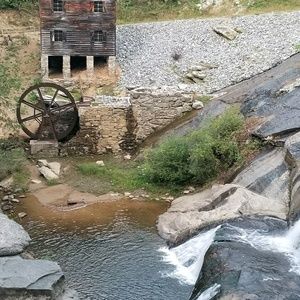 Meet your Posher, Billie